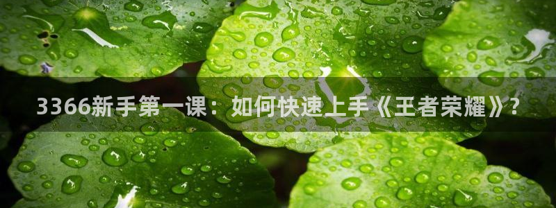 长征娱乐注册登录平台：3366新手第一课：如何快速上手《王者