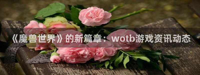长征娱乐注册平台：《魔兽世界》的新篇章：wotb游戏资讯动态