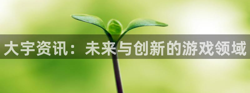 长征娱乐怎么注册：大宇资讯：未来与创新的游戏领域
