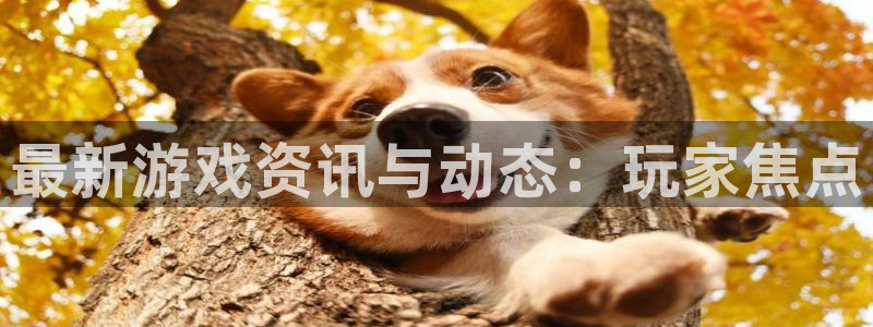 长征娱乐注册官方登录app：最新游戏资讯与动态：玩家焦点