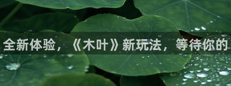 长征娱乐官方注册登录：全新体验，《木叶》新玩法，等待你的