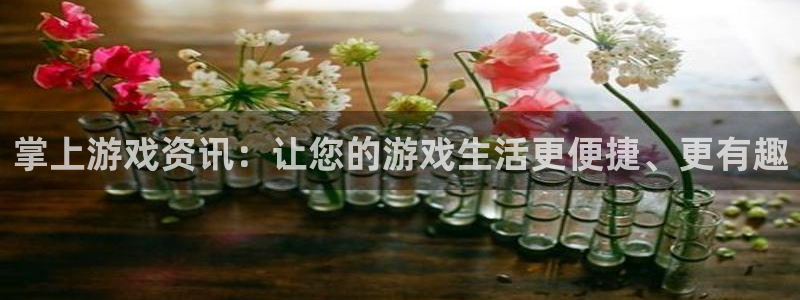 长征娱乐网址官网：掌上游戏资讯：让您的游戏生活更便捷、更有趣