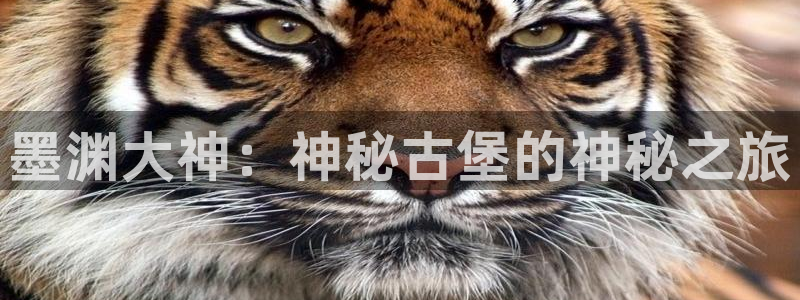 长征娱乐网址注册：墨渊大神：神秘古堡的神秘之旅