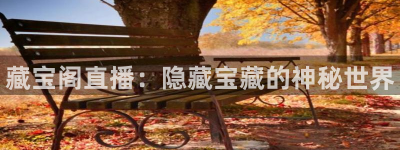 黑白体育在线直播免费观看nba：藏宝阁直播：隐藏宝藏的神秘世界