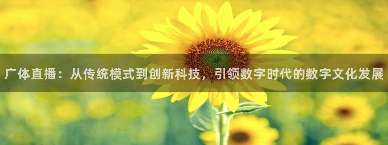 黑白直播nba免费直播：广体直播：从传统模式到创新科技，引领数字时代的数字文化发展
