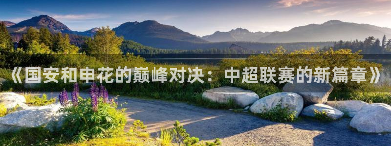 黑白体育直播篮球：《国安和申花的巅峰对决：中超联赛的新篇章》