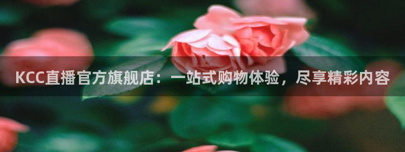 nba黑白体育免费观看：KCC直播官方旗舰店：一站式购物体验，尽享精彩内容