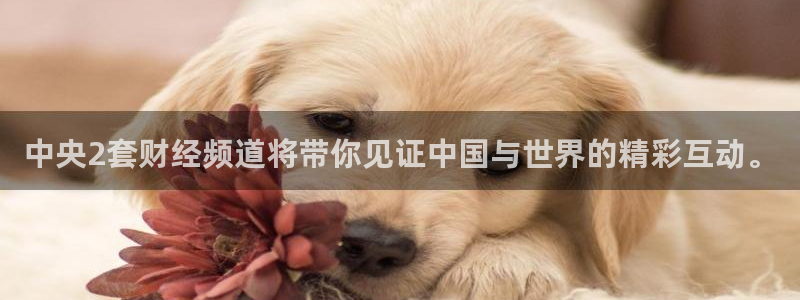 黑白直播nba直播吧：中央2套财经频道将带你见证中国与世界的精彩互动。