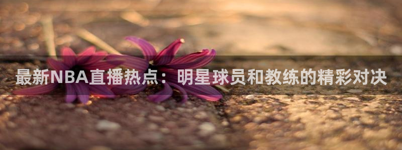 黑白直播体育免费版下载：最新NBA直播热点：明星球员和教练的精彩对决