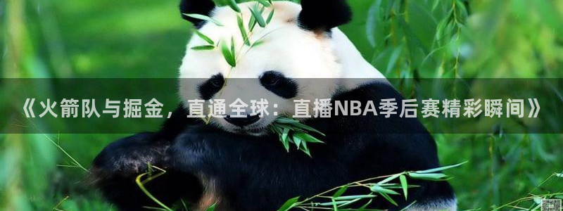 黑白直播体育下载：《火箭队与掘金，直通全球：直播NBA季后赛精彩瞬间》